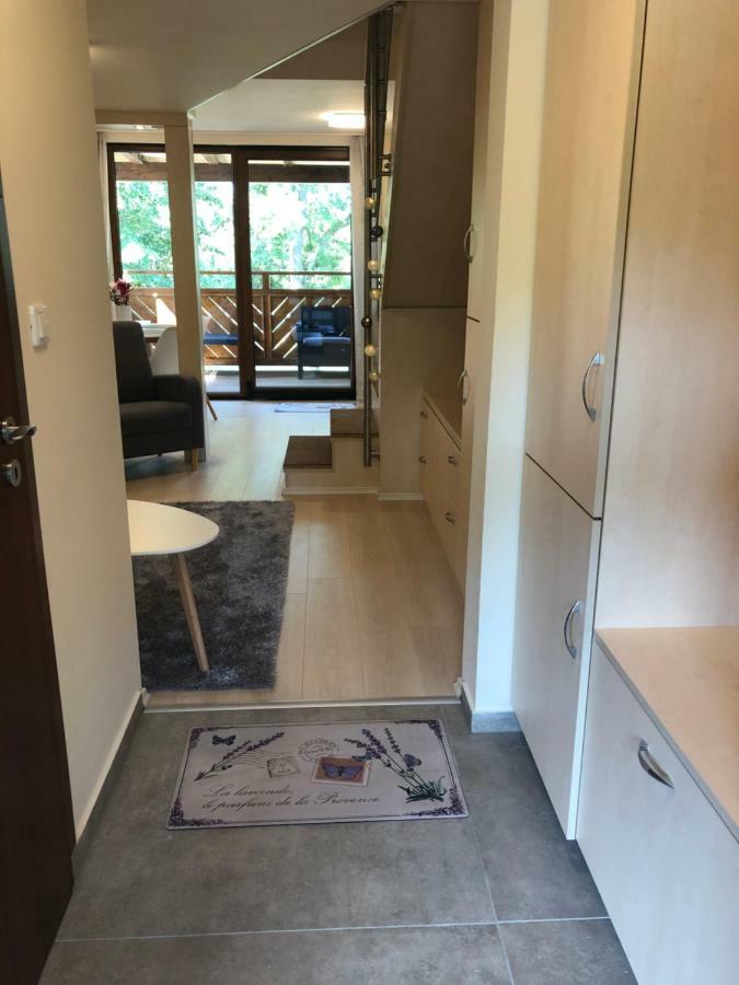 Beachfront Studio Apartman Aparthotel Balatonfůzfő Esterno foto